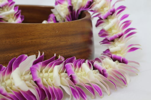 seasonal deluxe orchid lei