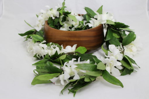 hilo maile lei with white orchids
