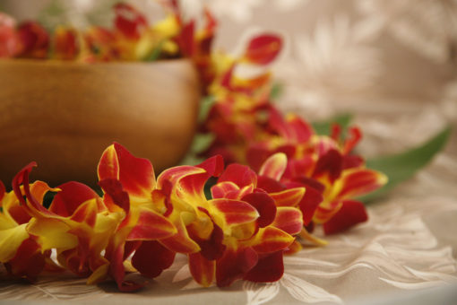 yellow orchid lei